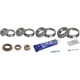 Purchase Top-Quality Differential Bearing Set by SKF pa1