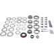 Purchase Top-Quality Differential Kit by DANA SPICER - 10024038 pa2