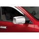 Purchase Top-Quality PUTCO - 401161 - Door Mirror Cover pa8