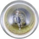 Purchase Top-Quality PHILIPS - 89B2 - Multi Purpose Light Bulb pa4