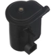 Purchase Top-Quality Evaporator Canister Filter by BLUE STREAK (HYGRADE MOTOR) pa1