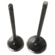 Purchase Top-Quality SKP - SKV2007 - Engine Exhaust Valve pa9