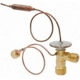 Purchase Top-Quality Valve d'expension by FOUR SEASONS - 39027 pa22