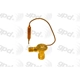 Purchase Top-Quality Valve d'expension by GLOBAL PARTS DISTRIBUTORS - 3411819 pa1