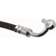 Purchase Top-Quality Front Brake Hose by RAYBESTOS - BH383501 pa7