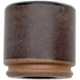 Purchase Top-Quality Piston d'étrier avant by RAYBESTOS - DP85456 pa4