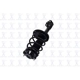 Purchase Top-Quality FCS AUTOMOTIVE - 1332367L - Front Complete Strut Assembly pa9