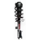 Purchase Top-Quality FCS AUTOMOTIVE - 5333406L - Front Complete Strut Assembly pa1