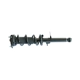 Purchase Top-Quality GSP NORTH AMERICA - 882686 - Suspension Strut and Coil Spring Assembly pa3