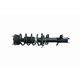 Purchase Top-Quality GSP NORTH AMERICA - 883024 - Suspension Strut and Coil Spring Assembly - Front Left pa6