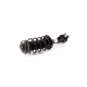 Purchase Top-Quality UNITY AUTOMOTIVE - 11816 - Front Complete Strut Assembly pa1