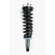 Purchase Top-Quality Assemblage de jambe de force avant complet by WORLDPARTS STRUTS - W1345564R pa1