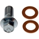 Purchase Top-Quality DORMAN - 13936 - Brake Hose Banjo Bolt pa2