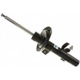 Purchase Top-Quality Jambe de force avant by BILSTEIN - 22-217134 pa1