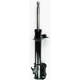 Purchase Top-Quality Front Strut by FCS AUTOMOTIVE - 331830L pa1