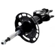 Purchase Top-Quality FCS AUTOMOTIVE - 333844R - Suspension Strut pa3