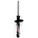 Purchase Top-Quality FCS AUTOMOTIVE - 336306 - Front Strut pa1