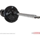 Purchase Top-Quality Jambe de force avant by MOTORCRAFT - AST231 pa2