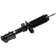 Purchase Top-Quality Jambe de force avant by MOTORCRAFT - AST385 pa5