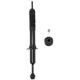 Purchase Top-Quality PRT - 373198 - Suspension Strut pa2