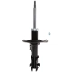 Purchase Top-Quality PRT - 474887 - Suspension Strut pa1