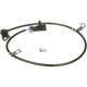 Purchase Top-Quality DELPHI - SS20919 - ABS Wheel Speed Sensor pa5