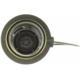 Purchase Top-Quality Fuel Cap by MOTORAD pa14