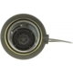 Purchase Top-Quality Fuel Cap by MOTORAD pa7