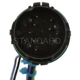 Purchase Top-Quality Harnais d'injection de carburant by BLUE STREAK (HYGRADE MOTOR) - IFH8 pa4