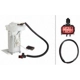 Purchase Top-Quality Fuel Pump And Hanger With Sender by HELLA - 358300571 pa1