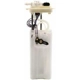 Purchase Top-Quality Fuel Pump Module Assembly by DELPHI pa1