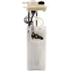 Purchase Top-Quality Fuel Pump Module Assembly by DELPHI pa10