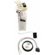 Purchase Top-Quality Fuel Pump Module Assembly by DELPHI pa19