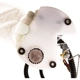 Purchase Top-Quality Fuel Pump Module Assembly by DELPHI pa33