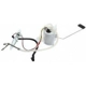 Purchase Top-Quality Fuel Pump Module Assembly by DELPHI pa1