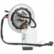 Purchase Top-Quality Fuel Pump Module Assembly by DELPHI pa24