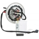 Purchase Top-Quality Fuel Pump Module Assembly by DELPHI pa35