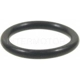 Purchase Top-Quality Fuel Rail O-Ring by BLUE STREAK (HYGRADE MOTOR) - SK58 pa2