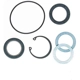 Purchase Top-Quality Gear Shaft Seal Kit by EDELMANN - 8766 pa6