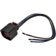 Purchase Top-Quality BLUE STREAK (HYGRADE MOTOR) - HP4740 - Connecteur lumière de plafonnier pa4