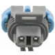 Purchase Top-Quality Connecteur de klaxon by BLUE STREAK (HYGRADE MOTOR) - S578 pa53