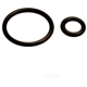 Purchase Top-Quality Injector Seal Kit by GB REMANUFACTURING pa2