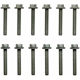 Purchase Top-Quality Intake Manifold Bolt Set by FEL-PRO - ES72169 pa2