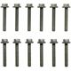 Purchase Top-Quality Intake Manifold Bolt Set by FEL-PRO - ES72169 pa6