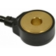 Purchase Top-Quality Knock Sensor by BLUE STREAK (HYGRADE MOTOR) - KS189 pa6