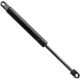 Purchase Top-Quality Lift Support by FCS AUTOMOTIVE - 84963R pa1