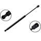 Purchase Top-Quality FCS AUTOMOTIVE - 86746 - Liftgate Lift Support pa1