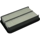 Purchase Top-Quality Air Filter by ECOGARD 1