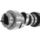 Purchase Top-Quality SKP - SKES5437 - Camshaft pa4