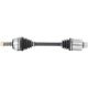 Purchase Top-Quality TRAKMOTIVE - HO8087 - CV Axle Shaft pa8